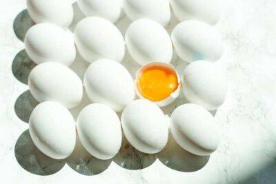Врачи предупредили, какие яйца категорически нельзя есть - lenta.ua - США - Украина