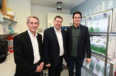 Британский стартап запустил проект BioSolar Leaf, который очищает воздух и производит белок для создания продуктов - produkt.by - Англия - Белоруссия - Лондон - London