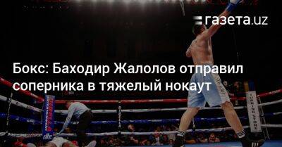 Бокс: Баходир Жалолов отправил соперника в тяжелый нокаут - gazeta.uz - Узбекистан