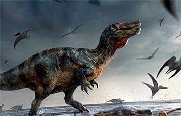 Обнаружены останки самого большого хищного динозавра Европы - charter97.org - Белоруссия