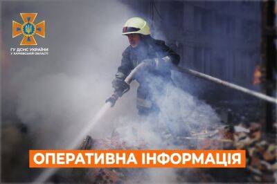 На Харьковщине из-за обстрелов вспыхнул масштабный лесной пожар - objectiv.tv - Украина - Харьковская обл. - Харьков