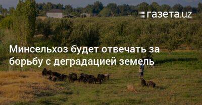 Шавкат Мирзиеев - Минсельхоз будет отвечать за борьбу с деградацией земель - gazeta.uz - Узбекистан