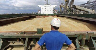 Украина экспортирует зерно через Румынию и Польшу, — МИД - focus.ua - Украина - Киев - Румыния - Польша - Сингапур - Констанца