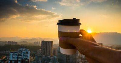 Кто пьет кофе по утрам, тот поступает мудро: ученые назвали 5 главных причин - focus.ua - Украина