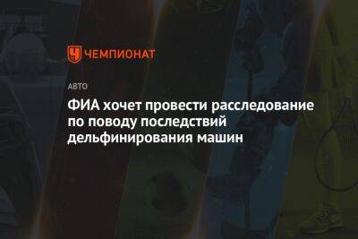 Льюис Хэмилтон - ФИА хочет провести расследование по поводу последствий дельфинирования машин - championat.com