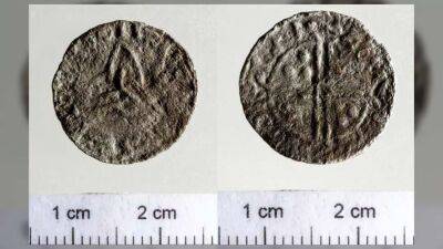 Венгрия - Норвегия - Найдена монета с изображением знаменитого короля викингов - lenta.ua - Норвегия - Украина - Англия - Венгрия