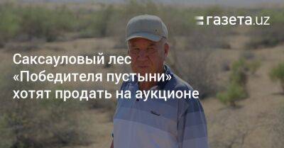 Шавкат Мирзиеев - Саксауловый лес «Победителя пустыни» хотят продать на аукционе - gazeta.uz - Узбекистан