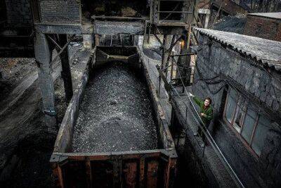 Анна Москва - Правительство Польши закрепило максимальную цену на уголь в 230 долларов за тонну - smartmoney.one - Москва - Россия - Польша - Москва
