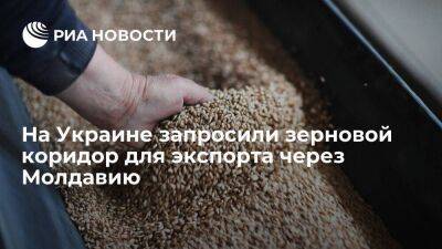 Молдавия - Украинская зерновая ассоциация запросила коридор для экспорта зерна в Дунай через Молдавию - smartmoney.one - Украина - Молдавия