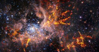 Туманность Тарантул. Ученые нашли место рождения самых больших звезд во Вселенной (фото) - focus.ua - Украина - Чили