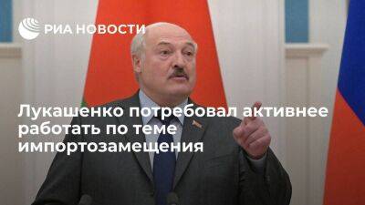 Александр Лукашенко - Лукашенко потребовал от белорусских предприятий активнее работать по импортозамещению - smartmoney.one - Россия - Китай - Белоруссия - Индия - Минск - Могилевская обл. - Бобруйск