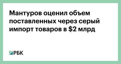 Денис Мантуров - Мантуров оценил объем поставленных через серый импорт товаров в $2 млрд - smartmoney.one - Россия