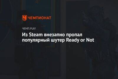 Rainbow VI (Vi) - Из Steam внезапно пропал популярный шутер Ready or Not - championat.com