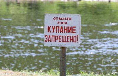 Купание запретили в шести зонах отдыха в Беларуси - ont.by - Белоруссия