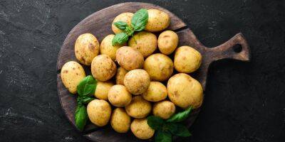 Не просто вареная. 8 рецептов из молодой картошки - nv.ua - Украина