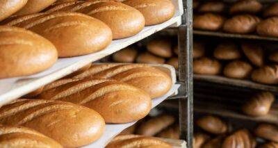 Названы самые вредные сорта хлеба. Откажитесь от их покупки - cxid.info