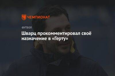 Сандро Шварц - Шварц прокомментировал своё назначение в «Герту» - championat.com - Москва - Россия - Берлин