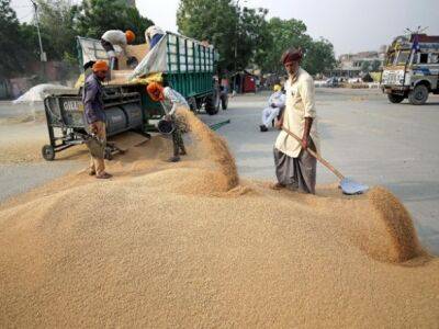 Индия разрешила вывоз небольшого количества пшеницы после запрета - unn.com.ua - Китай - Украина - Киев - Индия - Филиппины - Малайзия - Танзания - Бангладеш - Продовольствие