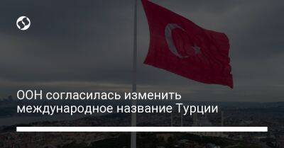 Стефан Дюжаррик - ООН согласилась изменить международное название Турции - liga.net - Украина - Турция - Анкара