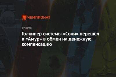 Голкипер системы «Сочи» перешёл в «Амур» в обмен на денежную компенсацию - championat.com - Сочи - Sochi - Хабаровск