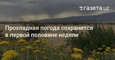 Прохладная погода сохранится в первой половине недели - gazeta.uz - Узбекистан