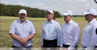 Aleksandr Lukashenko - Lukashenko sets goal for 10m-tonne grain harvest in Belarus - udf.by - Belarus - city Minsk