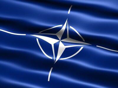 На референдуме вступление в НАТО поддержали бы 76% украинцев – опрос - gordonua.com - Украина