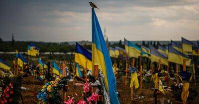 Александр Камышин - Украине передали тела погибших солдат - focus.ua - Украина - Запорожская обл.