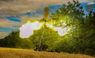 Евгений Медведев - Украинские воины уничтожили группировку оккупантов на острове Змеиный - lenta.ua - Украина - район Бериславский - Оккупанты