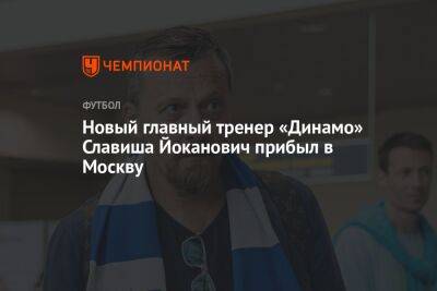 Славиша Йоканович - Новый главный тренер «Динамо» Славиша Йоканович прибыл в Москву - championat.com - Москва