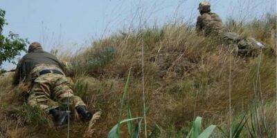 На острове Змеиный ВСУ уничтожили ЗРК Панцирь и 49 оккупантов - nv.ua - Россия - Украина