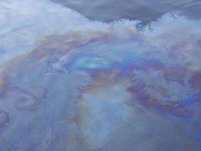Нефтяное пятно размером 200 кв. м обнаружили в акватории Волги в Астрахани - smartmoney.one - Астрахань - Астрахань