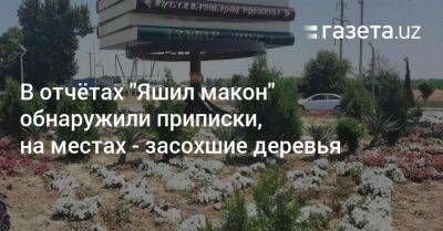 Шавкат Мирзиеев - В отчётах «Яшил макон» обнаружили приписки, на местах — засохшие деревья - gazeta.uz - Узбекистан - Ташкент