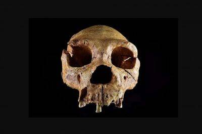 Археологи раскопали 600 000-летние свидетельства первых жителей Британии (Фото) - lenta.ua - Украина - Англия