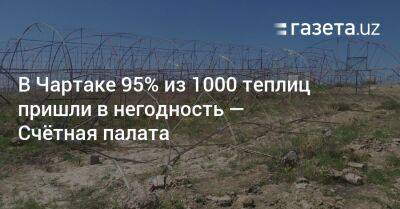 Шавкат Мирзиеев - 95% из 1000 теплиц в Чартаке пришли в негодность — Счётная палата - gazeta.uz - Узбекистан