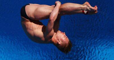 Прыжки в воду: результаты, трансляция | Чемпионат мира по водным видам спорта — 2022 - olympics.com - Венгрия - Будапешт