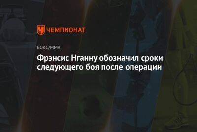 Фьюри Тайсон - Фрэнсис Нганн - Фрэнсис Нганну обозначил сроки следующего боя после операции - championat.com - Гана - шт. Калифорния - Камерун