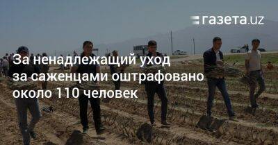 За ненадлежащий уход за саженцами оштрафовано около 110 человек - gazeta.uz - Узбекистан - Экология