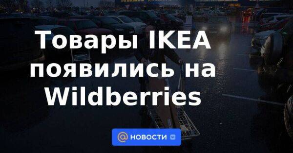 Massimo Dutti - Zara - Товары IKEA появились на Wildberries - smartmoney.one - Россия