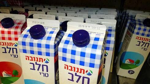 Цены базовых молочных продуктов повышаются на 4,9% - vesty.co.il - Израиль