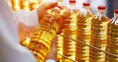 Для себя и на экспорт: сколько растительного масла произведет Украина в 2022 году - focus.ua - Россия - Украина - Продовольствие