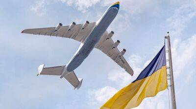 Давид Арахамия - Ричард Брэнсон - Украина уже готовит проект строительства нового самолета «Мрия» – Арахамия - ru.slovoidilo.ua - Украина - Киевская обл.