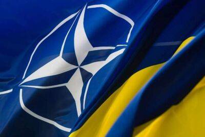 Евгений Медведев - Игорь Жовква - Украина не отказывается от вступления в НАТО - lenta.ua - Россия - Украина - Швеция - Финляндия
