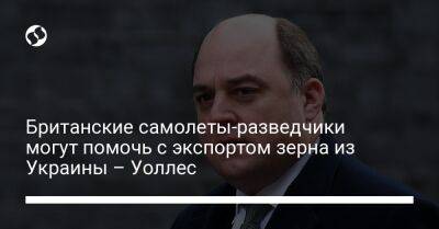 Sky News - Британские самолеты-разведчики могут помочь с экспортом зерна из Украины – Уоллес - liga.net - Украина - Англия