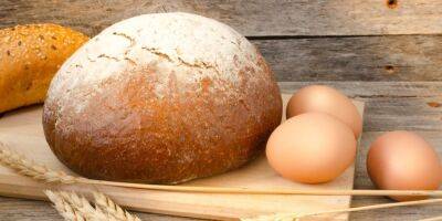 Яйца и хлеб. Как правильно хранить продукты, чтобы они долго оставались свежими - nv.ua - Украина