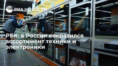 РБК: ретейлеры заявили о сокращении ассортимента бытовой техники и электроники в России - smartmoney.one - Москва - Россия - Китай - Украина - Турция - ЛНР