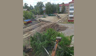 В Тобольске на улице Ремезова строители срубили несколько берез - nashgorod.ru - Тобольск