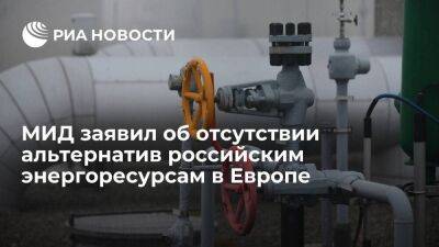МИД: реальных альтернатив российским энергоресурсам в Европе в ближайшей перспективе нет - smartmoney.one - Россия
