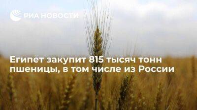 GASC: Египет по итогам тендера закупит 815 тысяч тонн пшеницы, в том числе из России - smartmoney.one - Россия - Египет - Франция - Румыния - Индия - Болгария