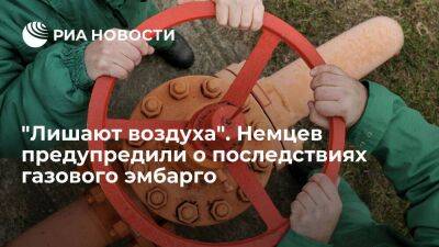 Владимир Путин - Александр Новак - FAZ: в Германии предупредили о разрушительных последствиях газового эмбарго - smartmoney.one - Москва - Россия - США - Украина - Германия - Брюссель